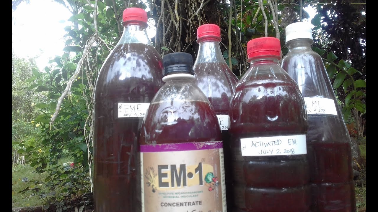 Em-1 Uses & Importance to the Environment