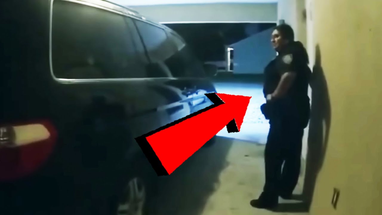 Tyrant Cops Harass Civilians Just Living Their Lives
