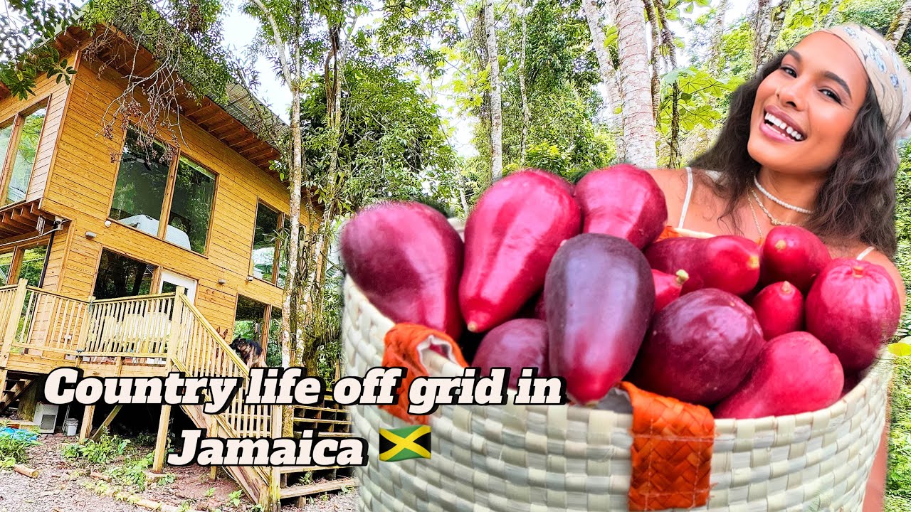 Country life off grid in Jamaica 🇯🇲