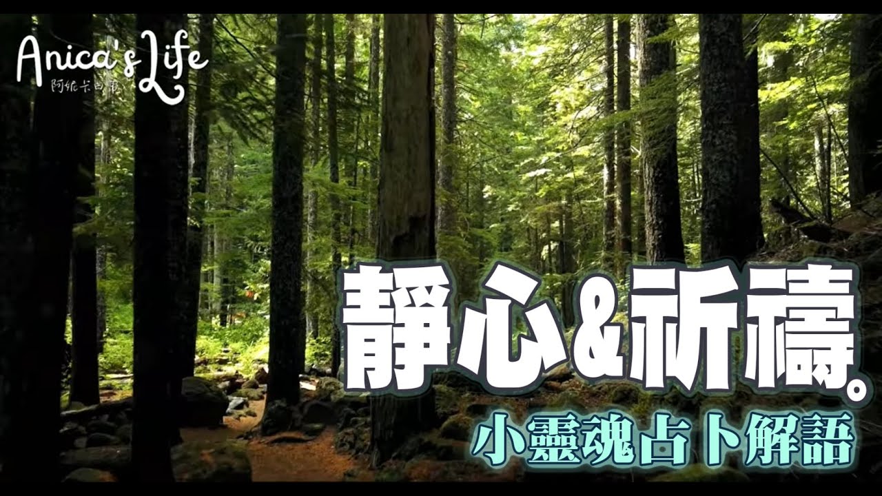 阿妮卡占卜解語