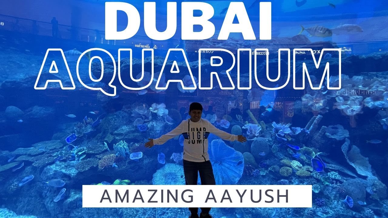 Dubai Aquarium & Underwater Zoo | Full Tour (with Subtitles)