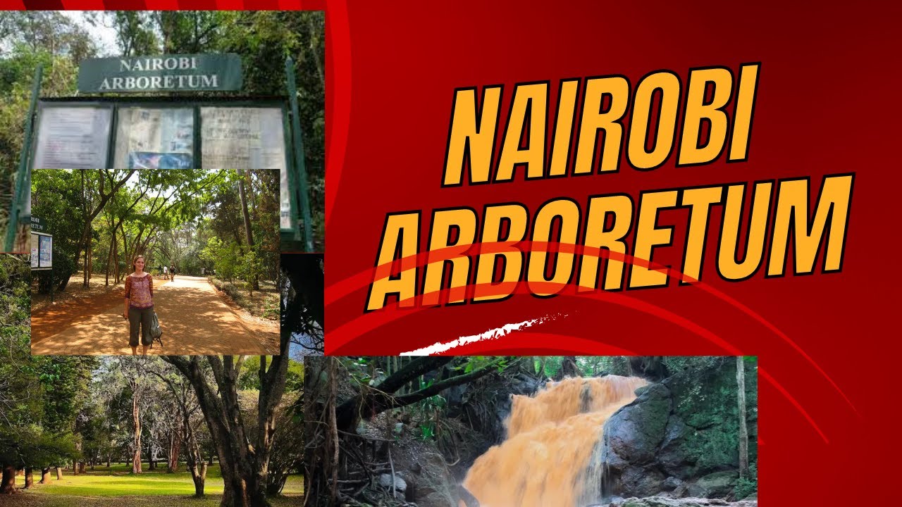 Why Nairobi Arboretum?