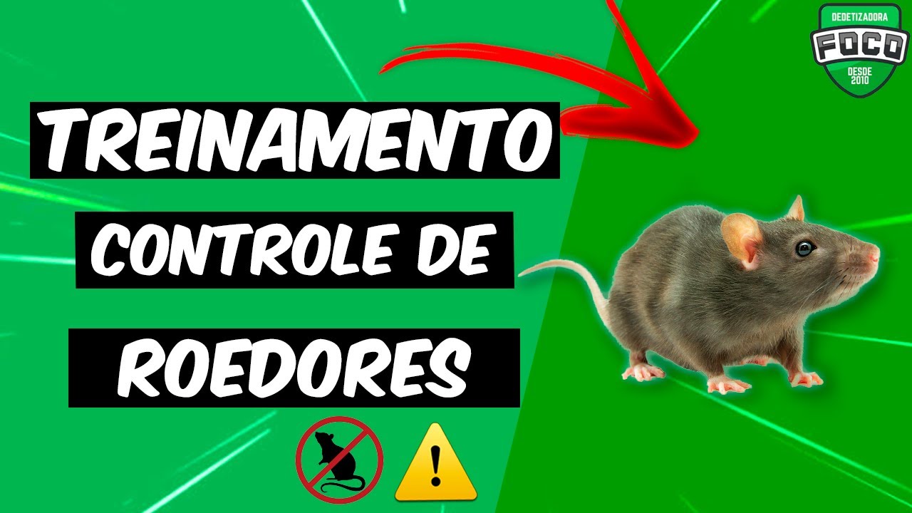 Controle de Roedores (ratos) - Treinamento