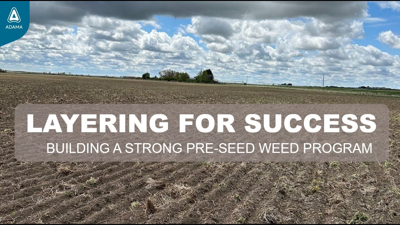 Layering For Success  Building A Strong Pre Seed Program