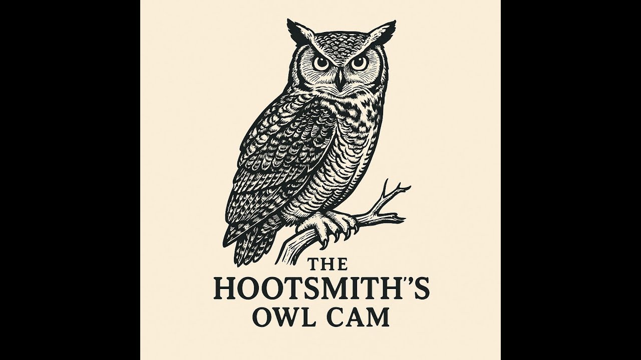 The Hootsmiths - Live Great Horned Owl Cam