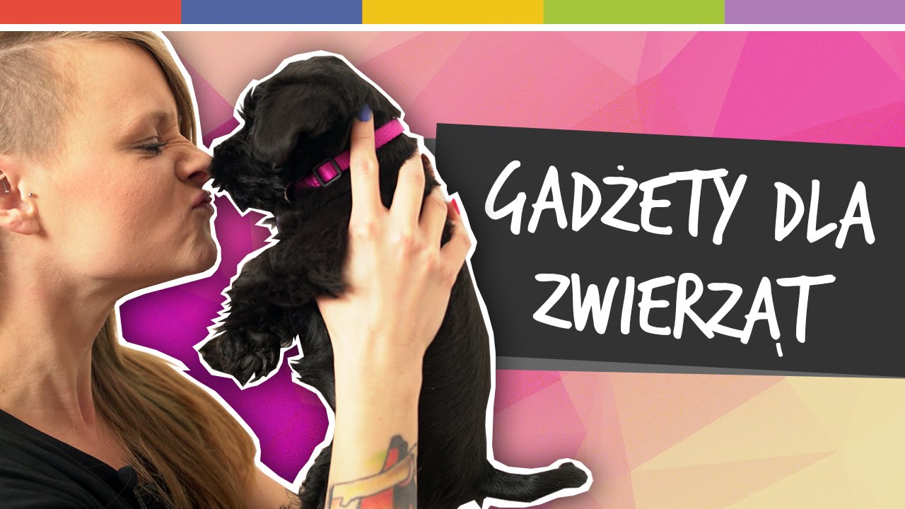 SPRYTNE BABKI - Gadżety dla zwierząt [odc. 9]