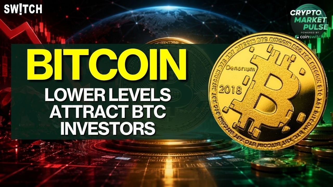 Crypto Market Pulse: Lower Levels Attract BTC Investors। Top News of The Day। Powered by CoinSwitch