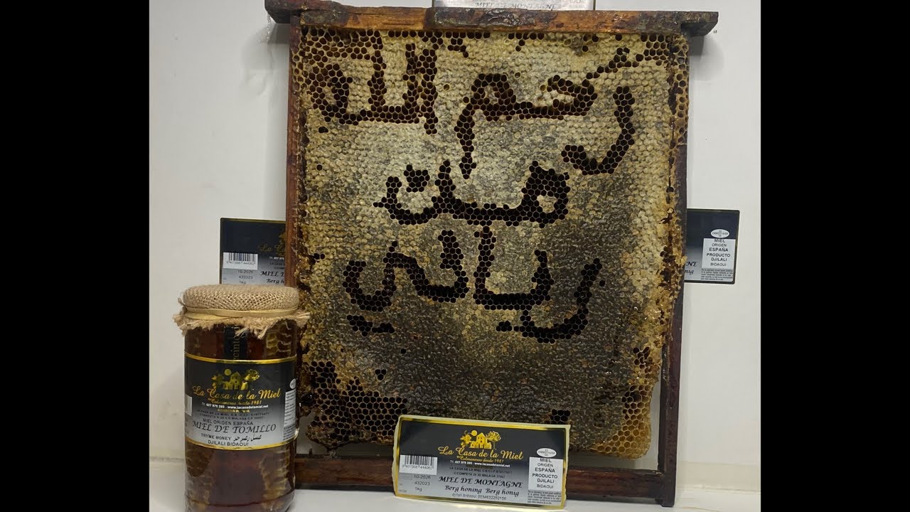 اسمع كيف يمنع المحترفين التطريد  وًيستغنون عن الفحص بالاخص في ترحال للمناطق البعيدة