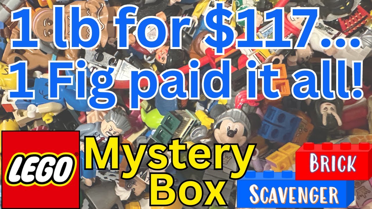 Lego Minifigure Mystery Box 1 lb for $117 and One Fig Paid it All!