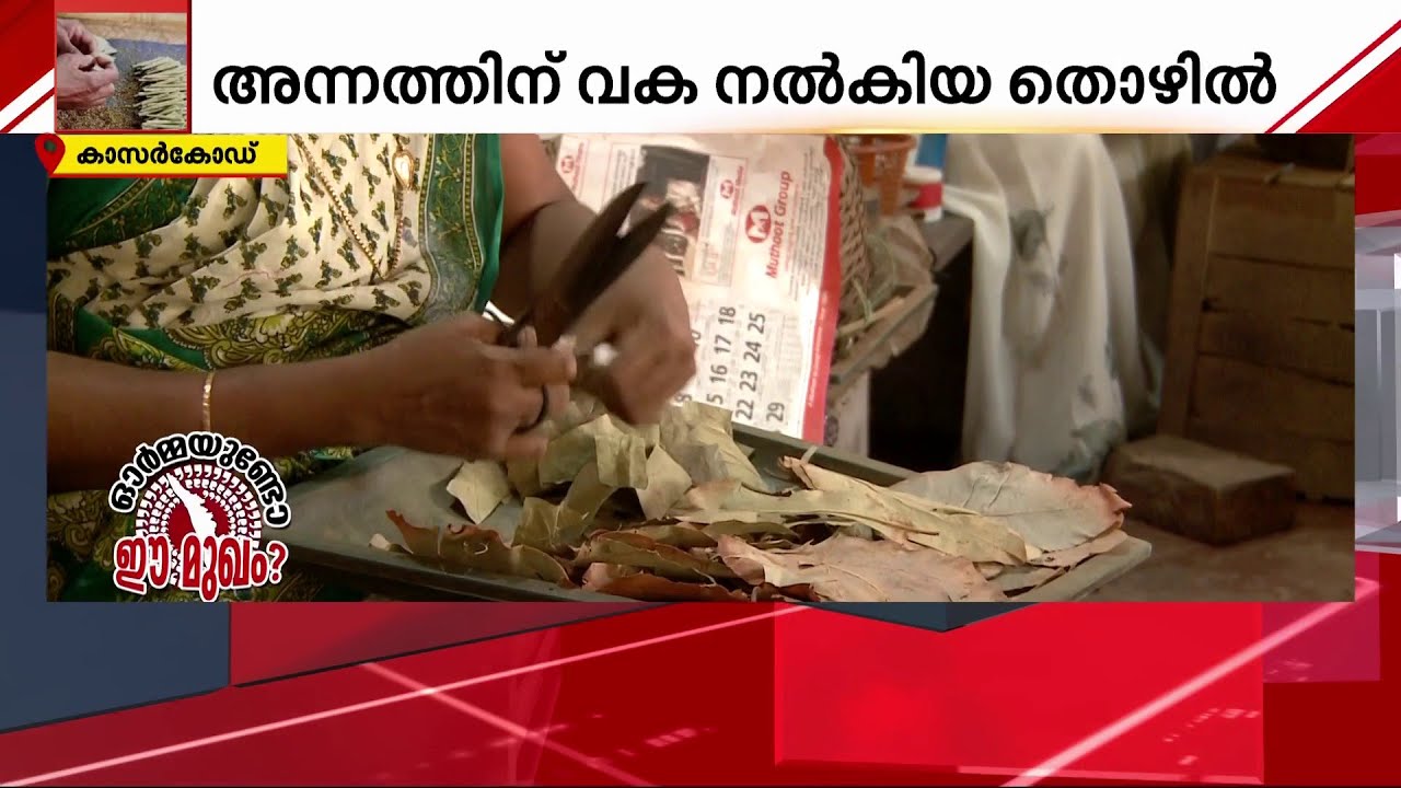 പണിയുമില്ല ആനുകൂല്യങ്ങളുമില്ല; അന്നം മുട്ടി ബീഡി തൊഴിലാളികൾ | Beedi Workers | Kasaragod
