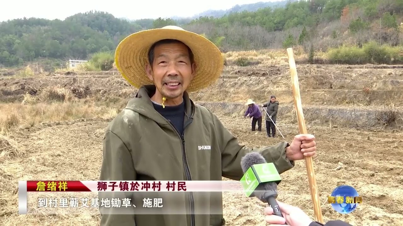 蕲春县狮子镇於冲村：一条环库路 带富一村人