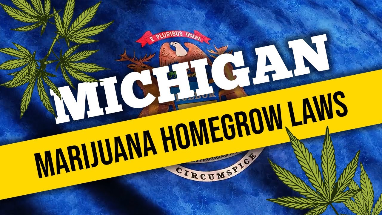 Michigan's Marijuana Laws for Home Cultivation and Medical Use in 2021