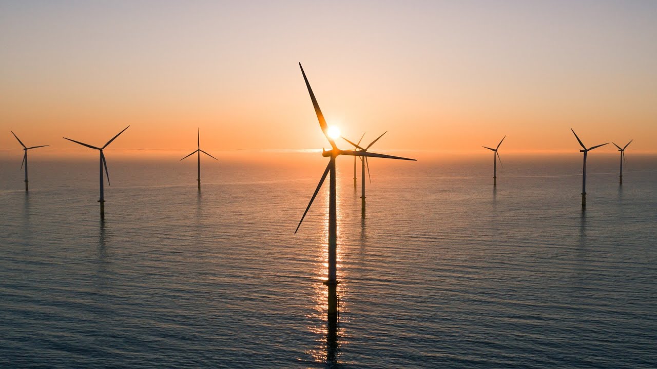 &lsquo;Terribly sad&rsquo;: AGL Energy abandons Gippsland offshore wind project plans