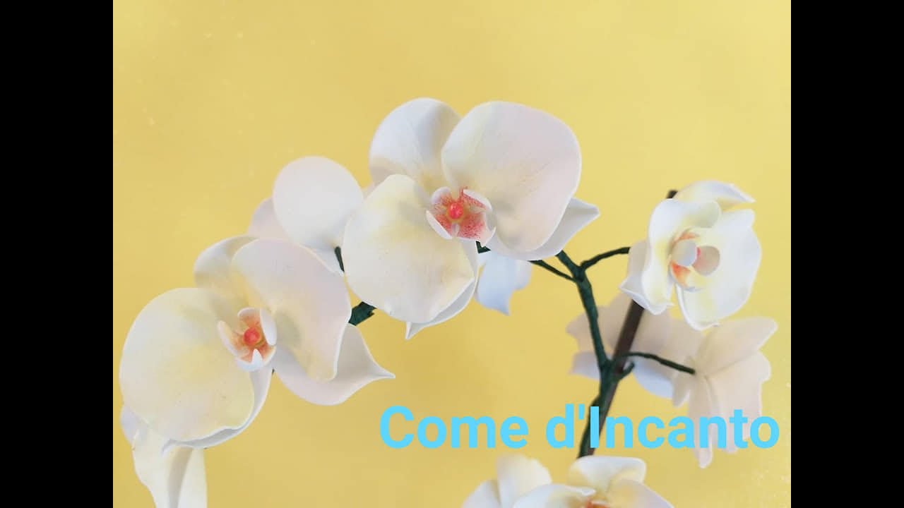 TUTORIAL ORCHIDEA
