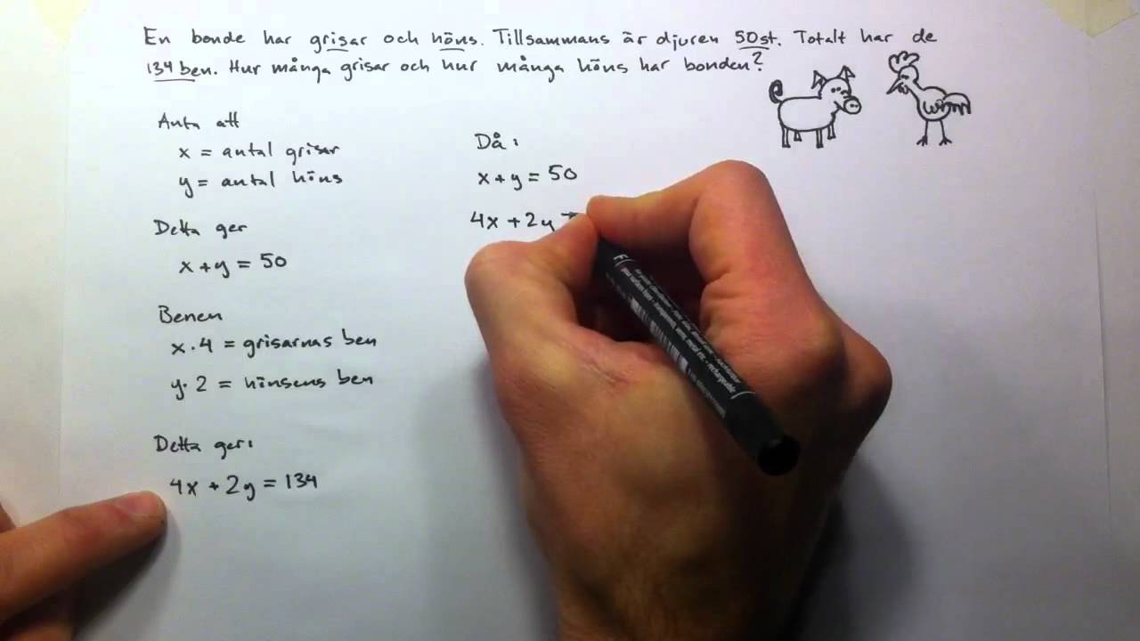 Problemlösning 1 med ekvationssystem