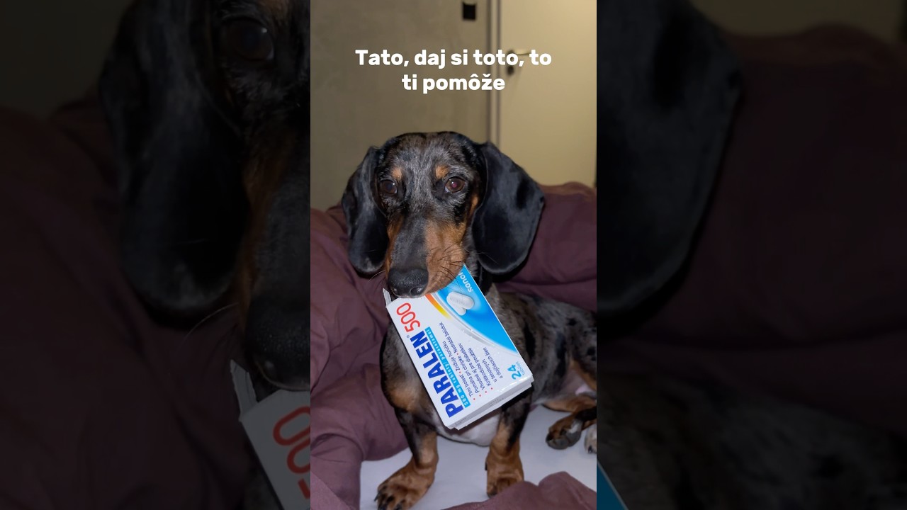 Prv&aacute; pomoc od Dr.🌭