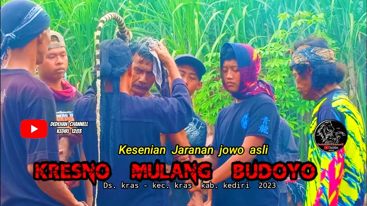 proses penyembuhan saat kesurupan angker ! .  . jaranan  KRESNO MULANG BUDOYO live kras Kediri 2023