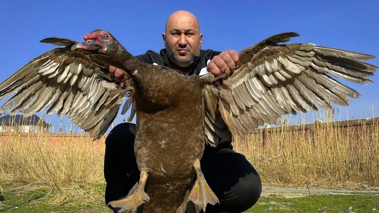 Нежный ПЛОВ и нежная утка 🦆 домашней духовке - ВЫ ТАКОГО ЕЩЕ НЕ ПРОБОВАЛИ