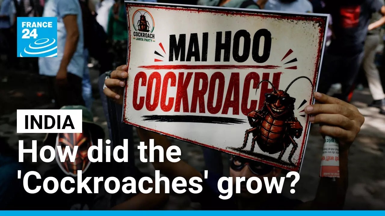 How the student 'Cockroach' movement grew its influence across India &bull; FRANCE 24 English