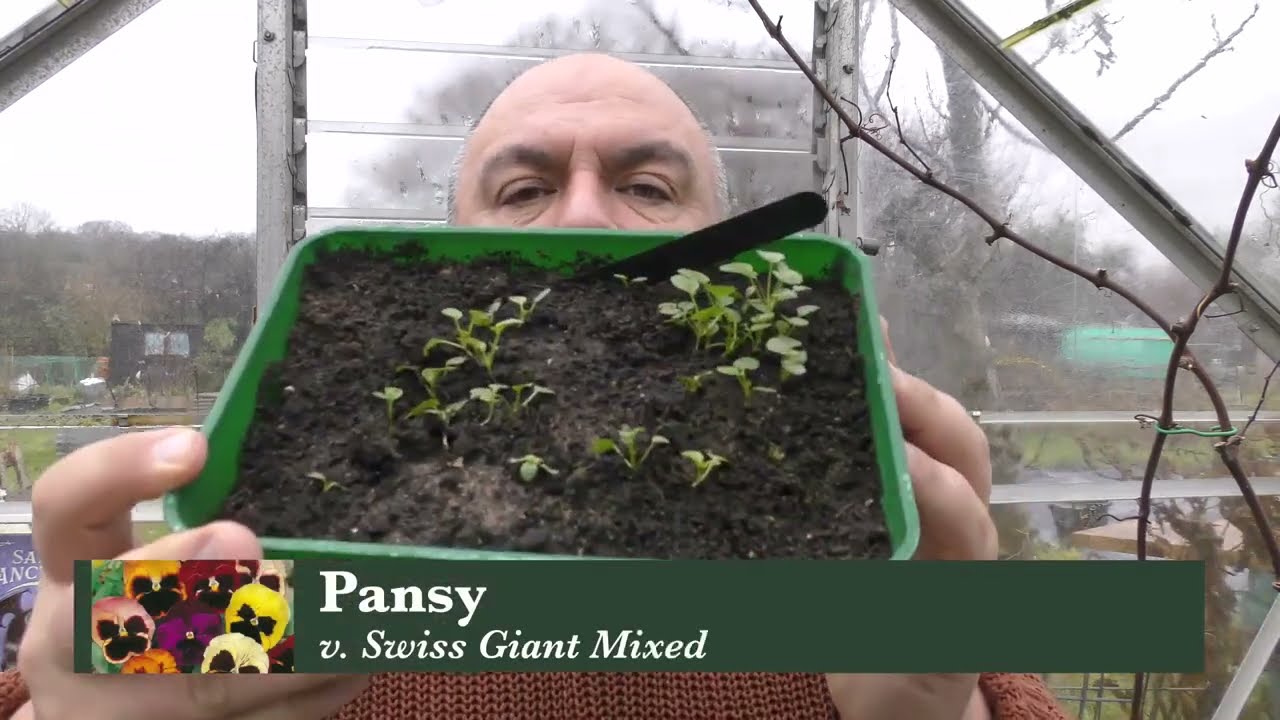 Sowing Seeds & Roses Arrive | WEEKLY VLOG 2023