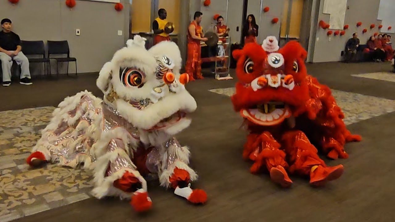 Chinese Lion Dance - Loyola - Feb 20 2026