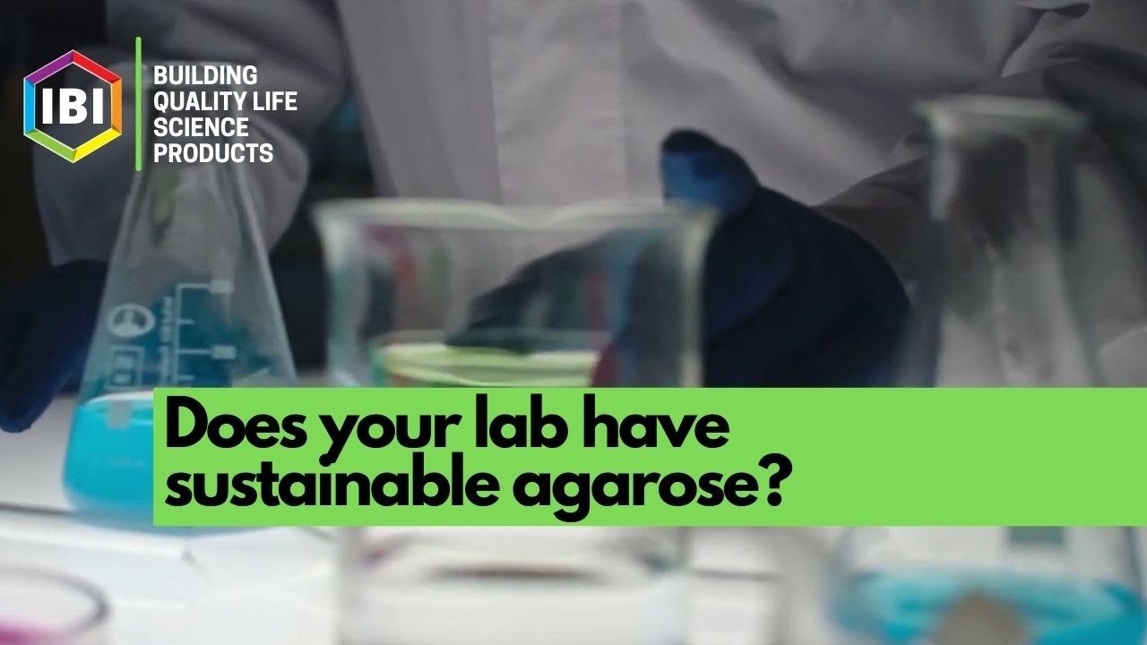 Do you have sustainable agarose products in your lab? | IBI Scientific