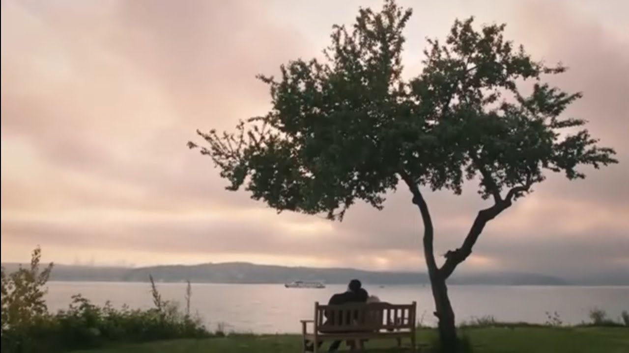 Hançer ve Cihan 💕 Alsaydın