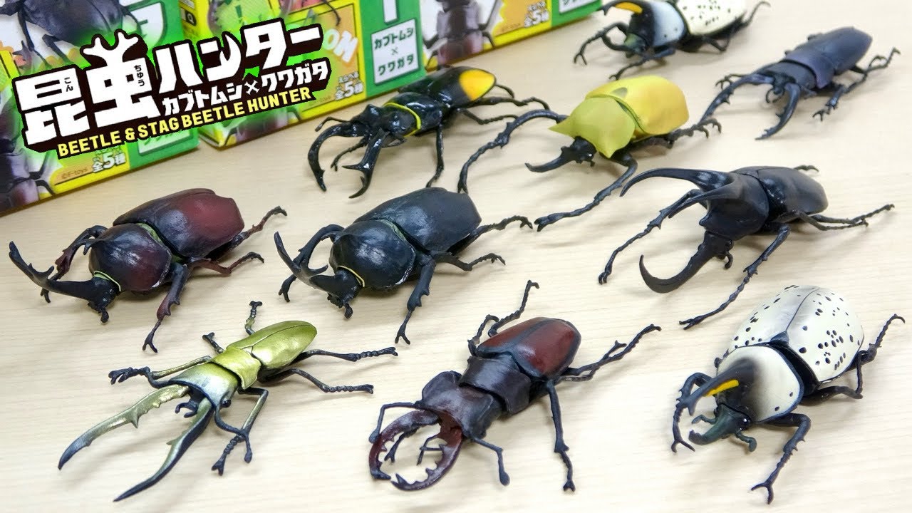 夏のお楽しみ! 昆虫ハンター カブトムシ × クワガタの新作が登場! 新しくヨーロッパ ミヤマクワガタが追加