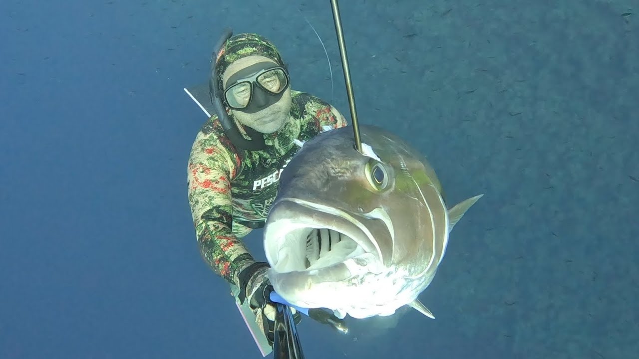 Pesca sub Alicudi l' Alba magica delle Ricciole con una super Big da sogno quinto giorno di vacanza