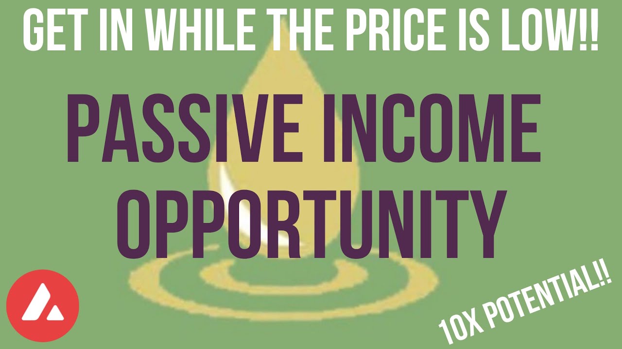 Splassive Passive Income Opportunity | Get In While The Price Is Low!!