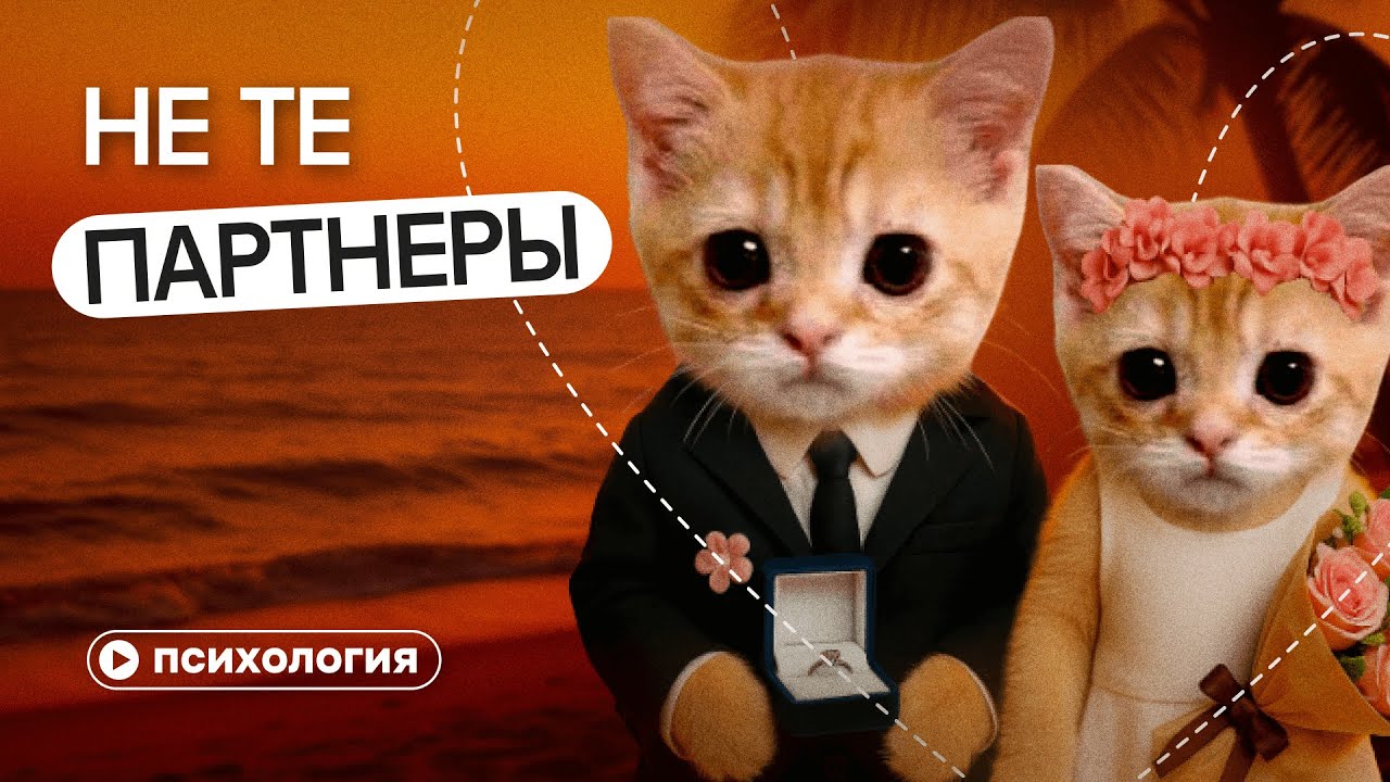 «Не те партнеры»: гайд по разрыву сценария