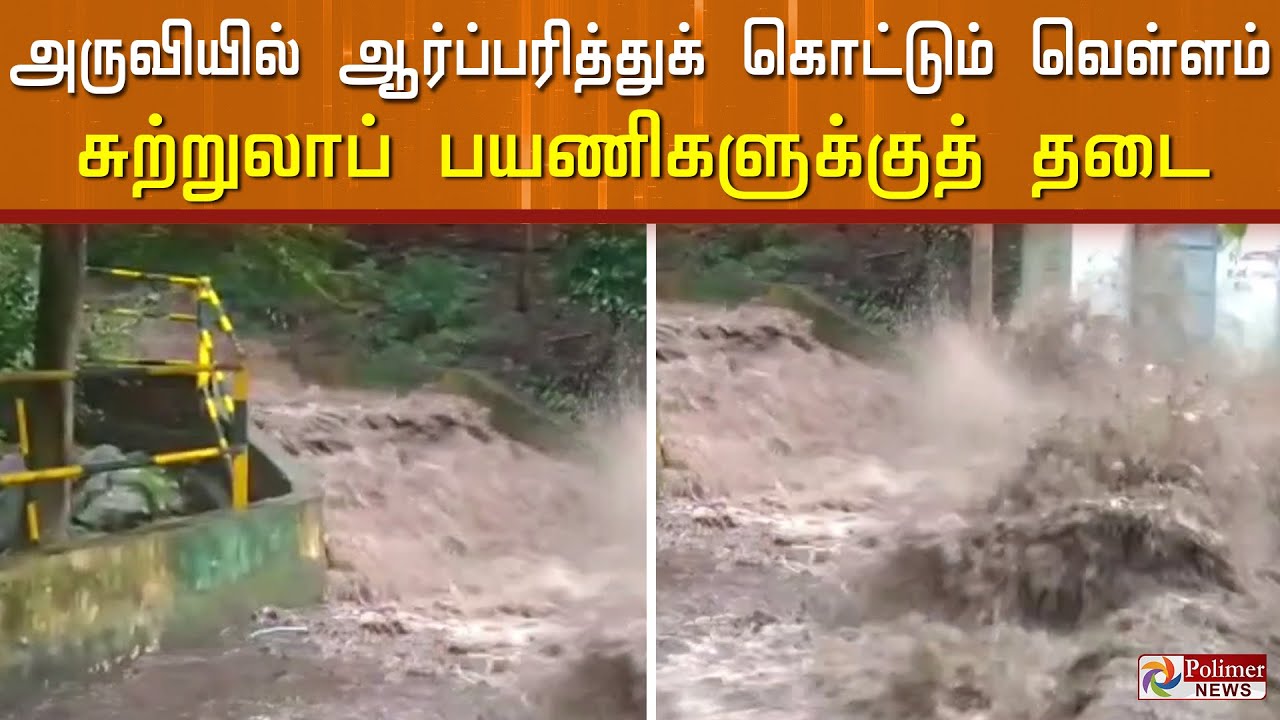 சுருளி அருவியில் ஆர்ப்பரித்துக் கொட்டும் வெள்ளம்..!