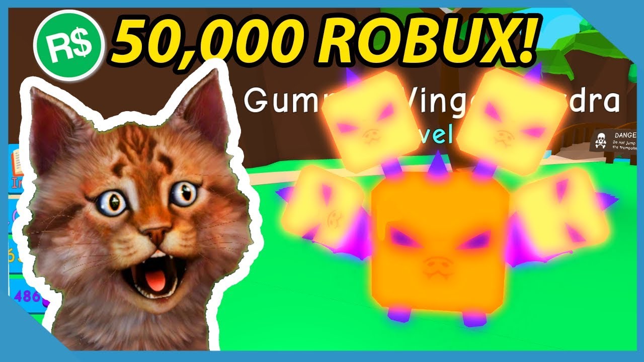 I Spent 50,000 Robux on this Pet in Roblox Bubble Gum Simulator (Gummy Winged Hydra)