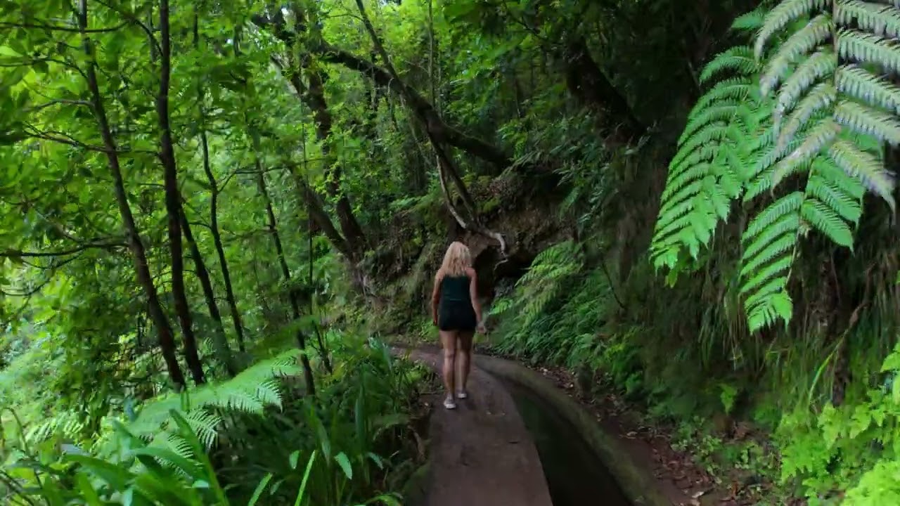 🇵🇹 A soothing Walk Through Levada do Rei in Madeira Island (ONE SHOT - NO CUTS  - 4K)
