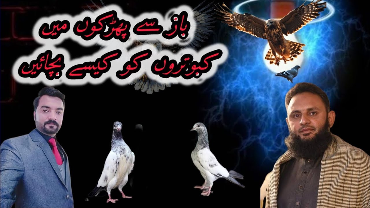 ustad Mujahid jut // new interview ￼
