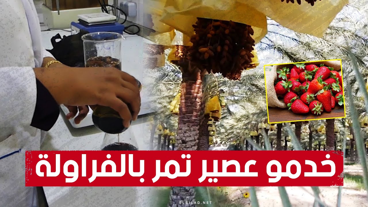 فكّرتا في المزج بين فاكهتي التمر والفراولة.. والنتيجة عصير طبيعي تعمل على تسويقه طالبيتن جامعيتين