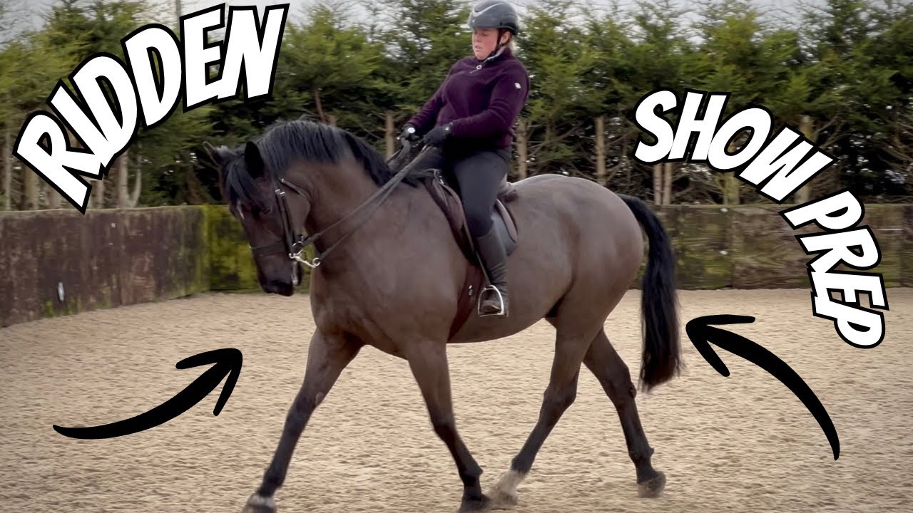 RIDDEN SHOW PREP 