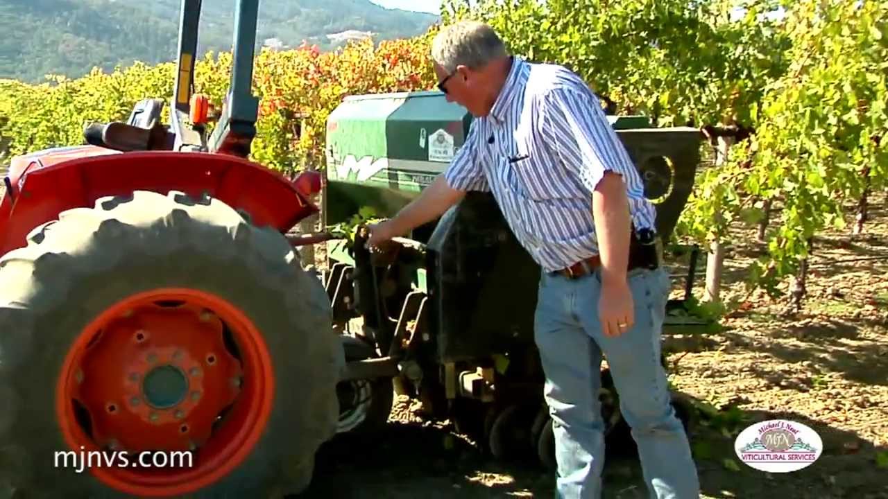 Post Harvest Vineyard Prep