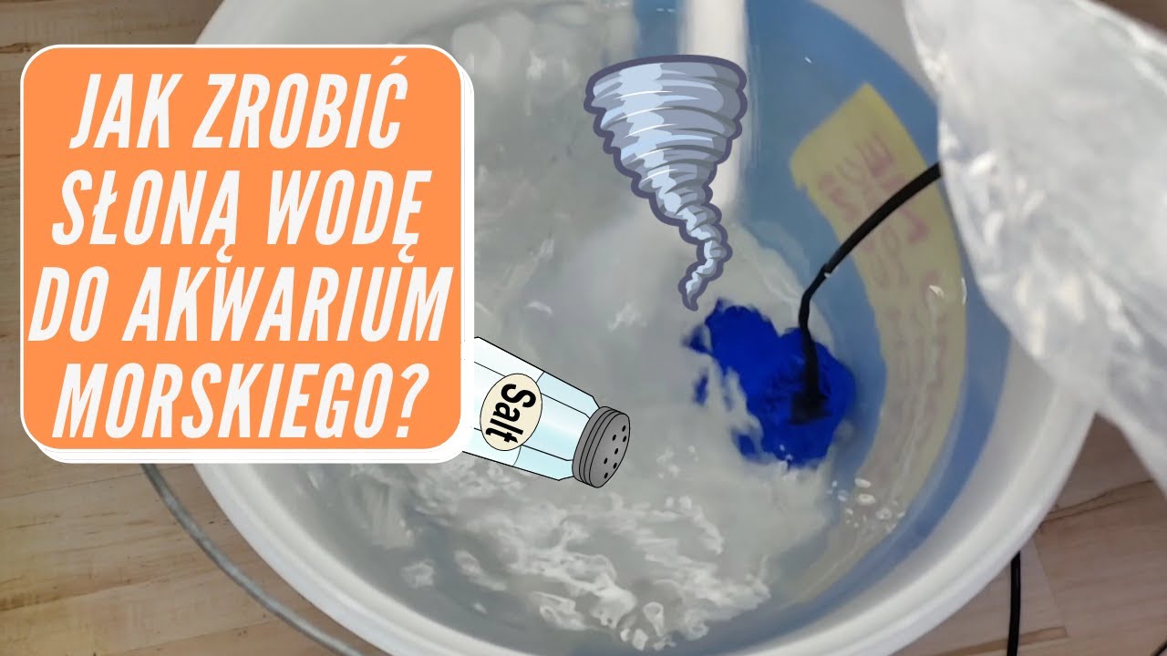 Jak zrobić słoną wodę do akwarium morskiego❓ Szybka i skuteczna metoda 🌪️