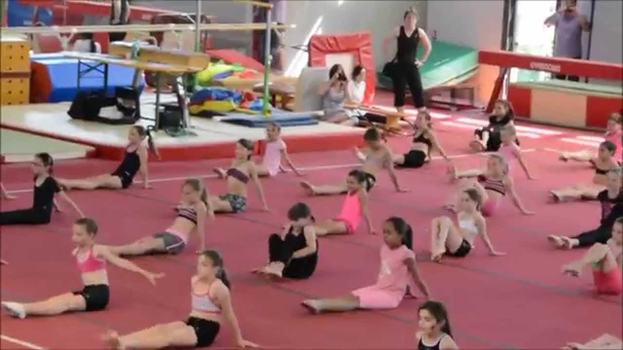 Gala 2015, section Poussines