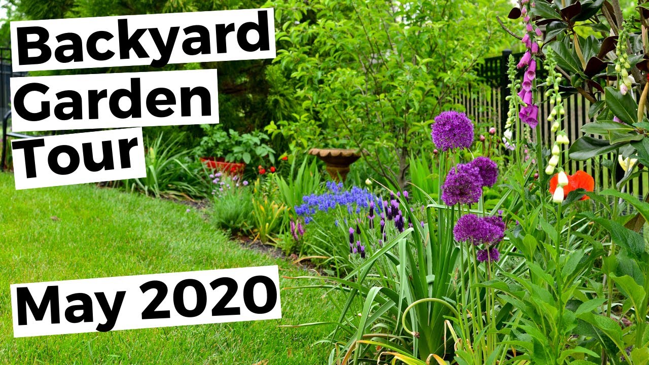 Small Yard Garden Tour - Spring Cottage Garden Tour - Backyard Flower Garden Ideas