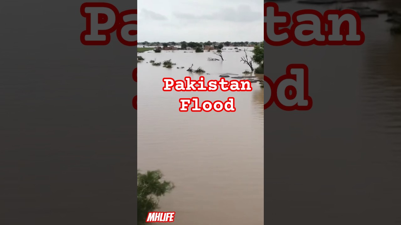 🚨 Pakistan Flood Disaster 2025 | Massive Destruction Caught on Camera 🌊 