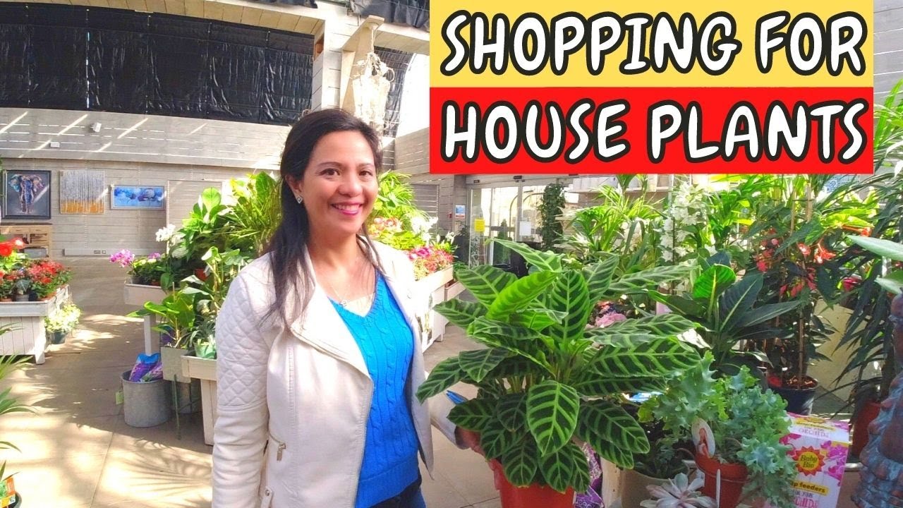 Sunshine, Flowers And House Plants, Trip To The Garden Centre.