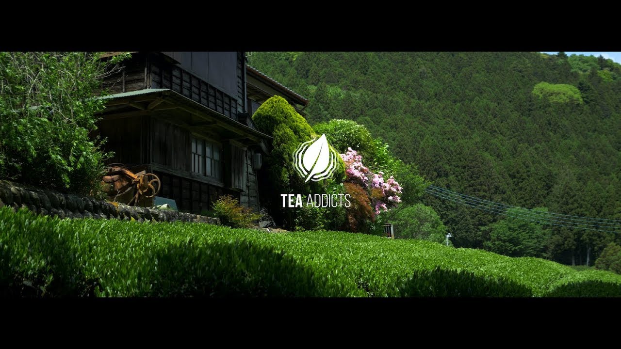 TEA ADDICTS - Unterwegs in Japan (Sencha, Genmaicha) Shizuoka/Kawane