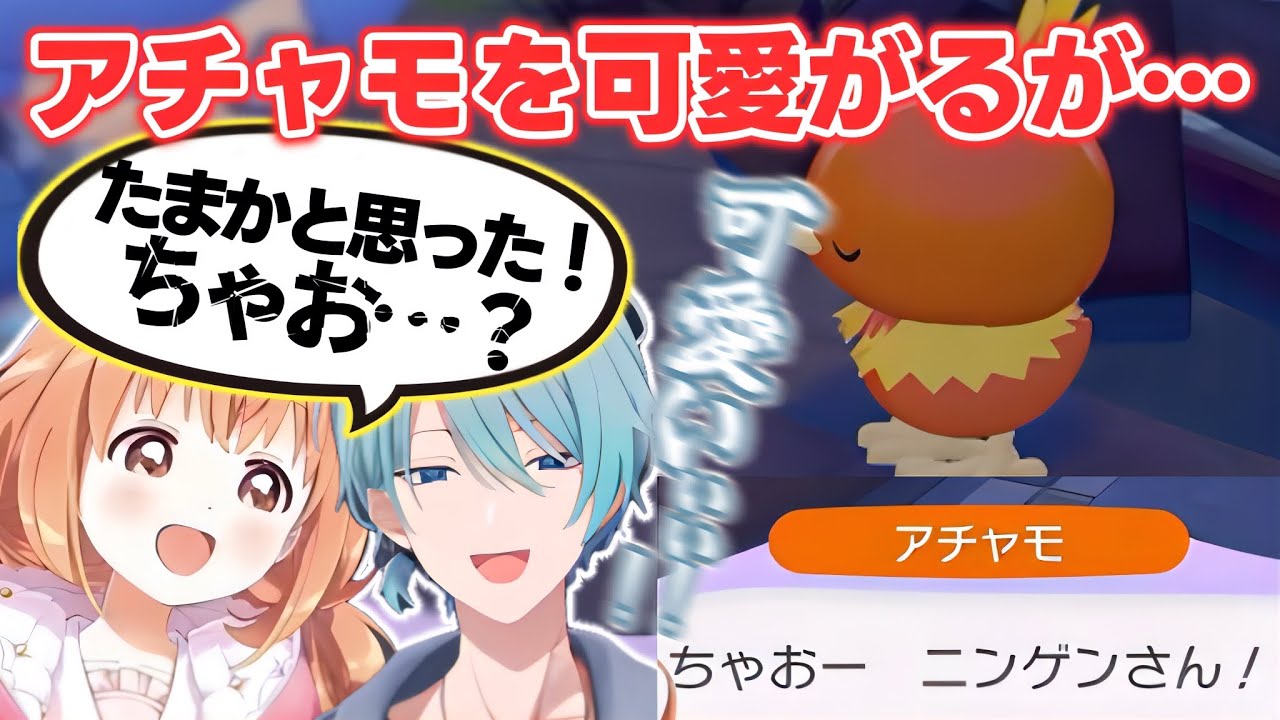 【ぽこあポケモン】アチャモを可愛がり「ちゃお」に反応するたまちゃんとトラウト【雲母たまこ/渚トラウト/すぺしゃーれ/にじさんじ切り抜き】