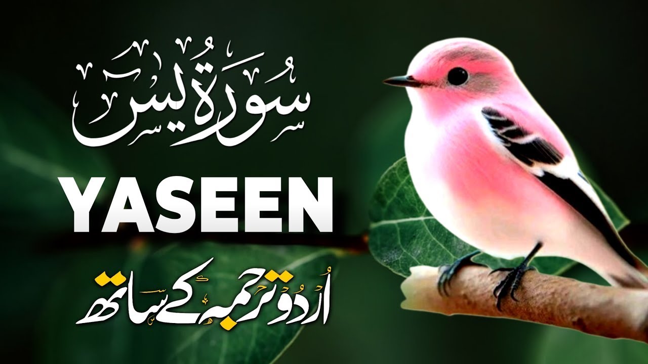 Surah Yaseen with Urdu Translation | Heart Touching Recitation by Qari Mansoor Ghaznavi | Ep007