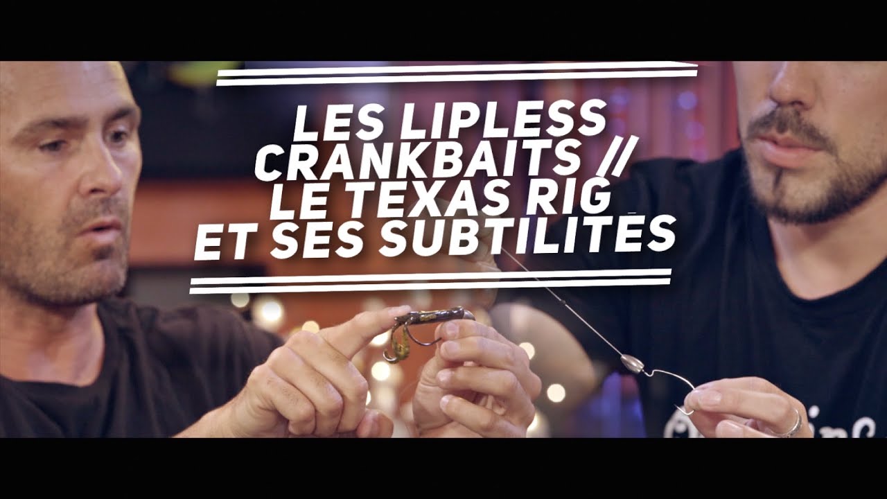 LES LIPLESS CRANKBAITS // LE TEXAS RIG ET SES SUBTILITÉS 🐟Fishing Club EP22🐟