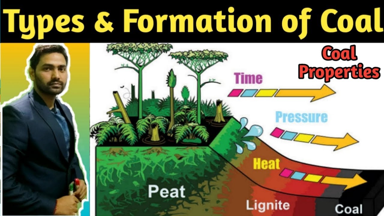 Types of Coal | Formation of Coal | Types of Coal Analysis | What is Coal | Coal | power plant fuel
