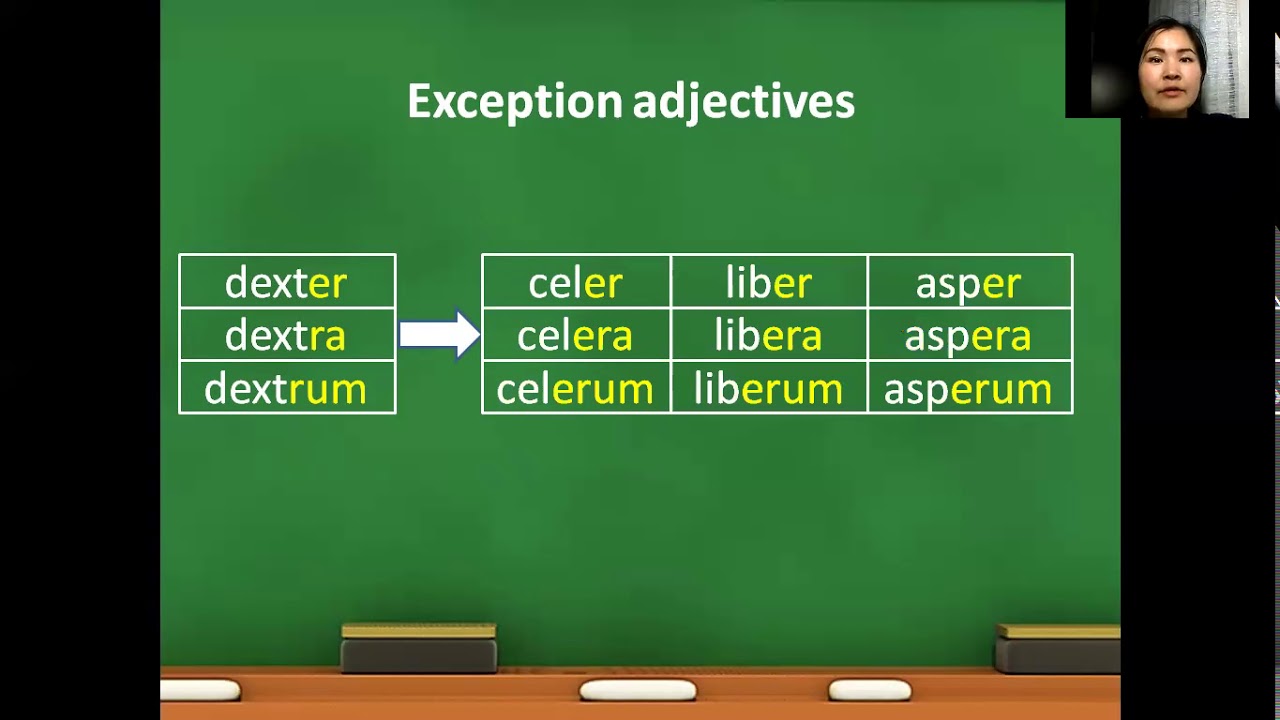 Agreement of adjective with noun
