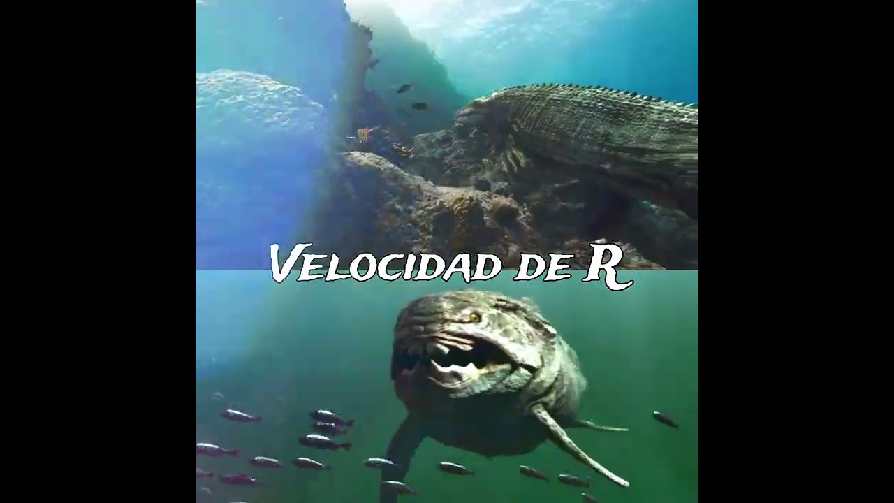 𝘿𝙖𝙠𝙤𝙨𝙖𝙪𝙧𝙪𝙨 𝙫𝙨 𝘿𝙪𝙣𝙠𝙡𝙚𝙤𝙨𝙩𝙚𝙪𝙨